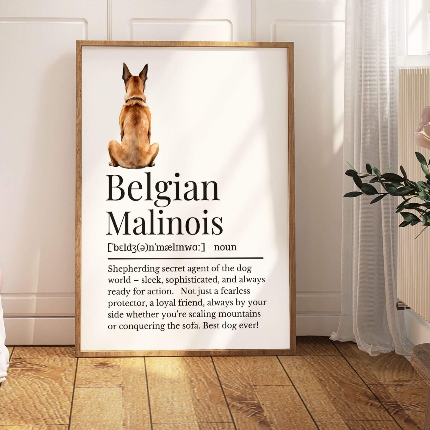 Illustrated Belgian Malinois Definition Print