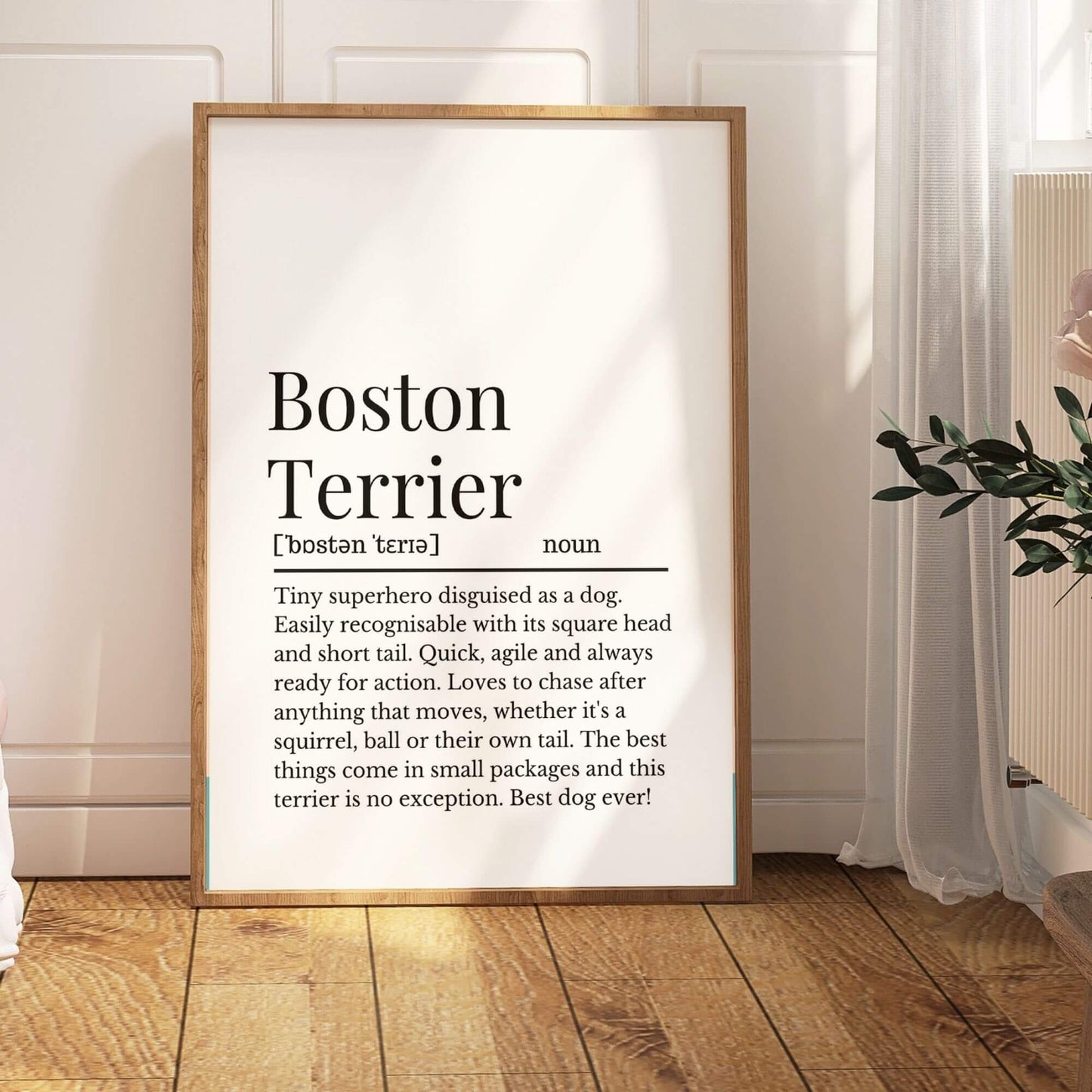 Boston Terrier Dog Definition Print