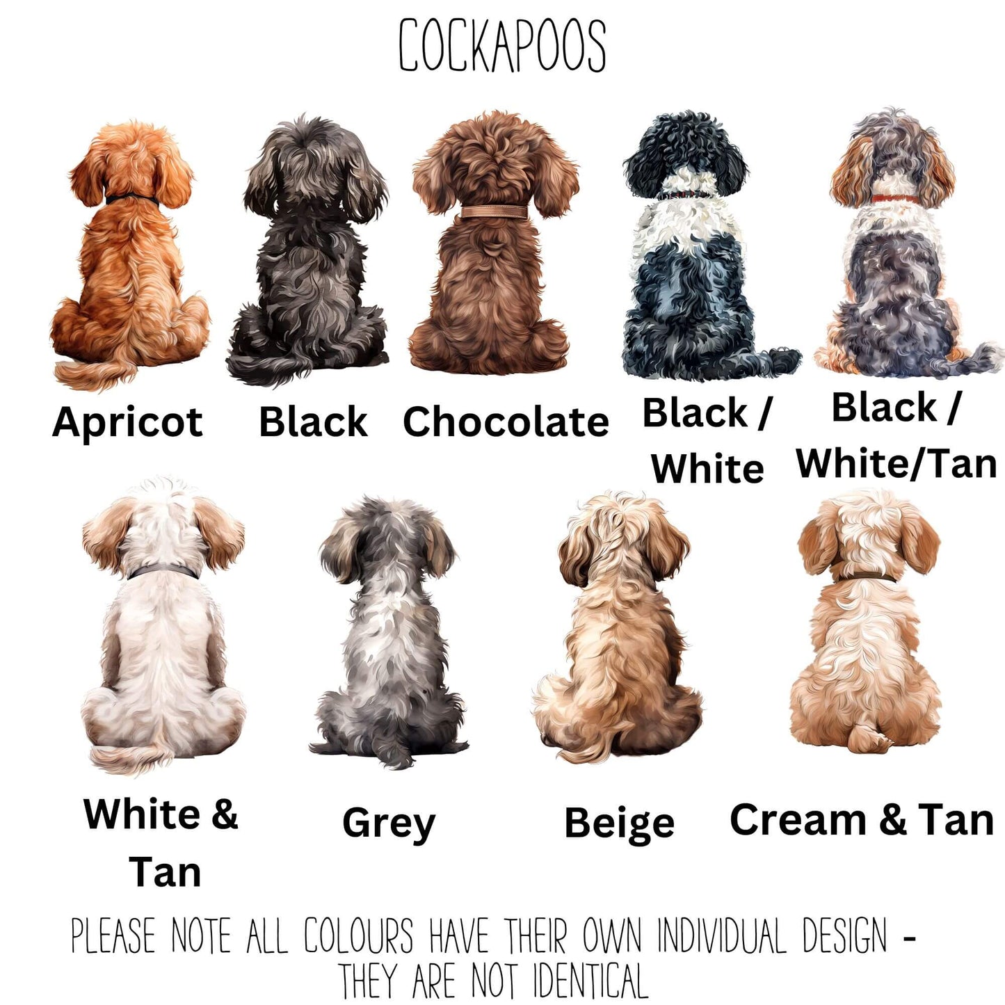 Illustrated Cockapoo Definition Print