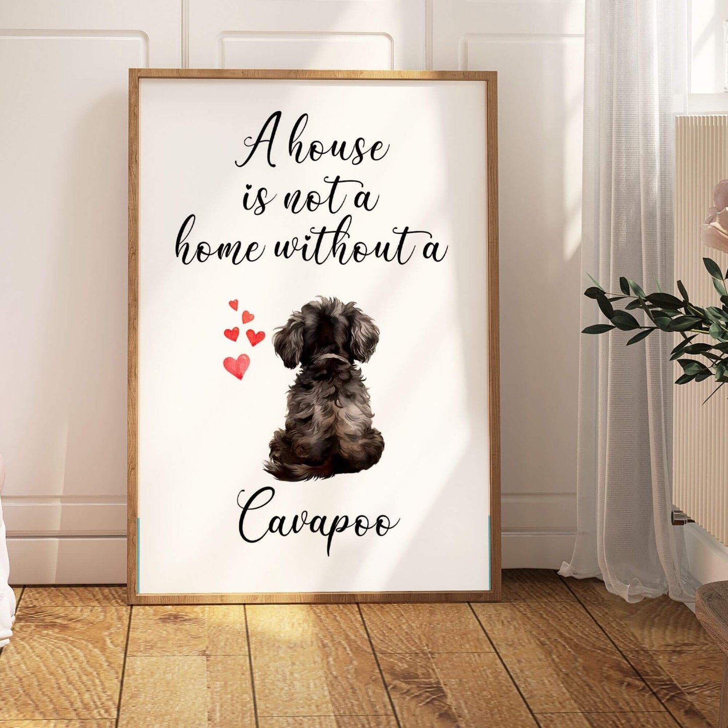 A House is Not a Home Without a Cavapoo