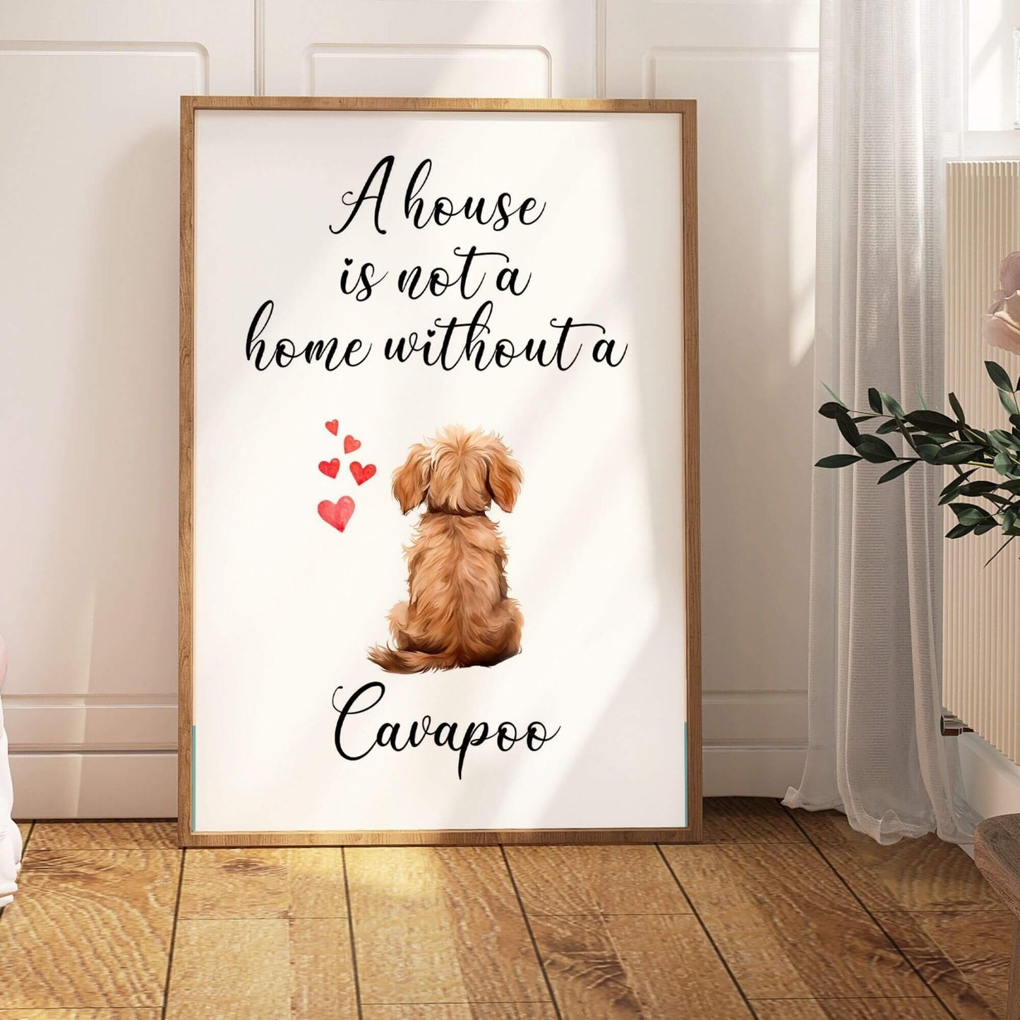 A House is Not a Home Without a Cavapoo