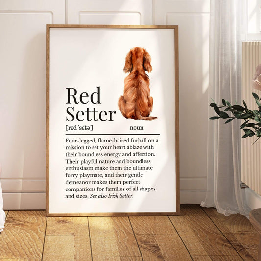 Illustrated Red Setter Definition Print